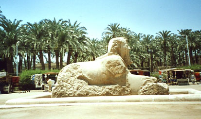 Le sphinx en albtre de Memphis
